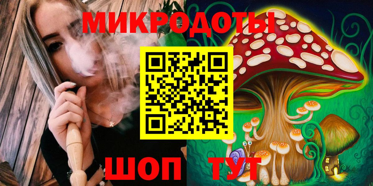 Галлюциногенные грибы Cubensis Гуково